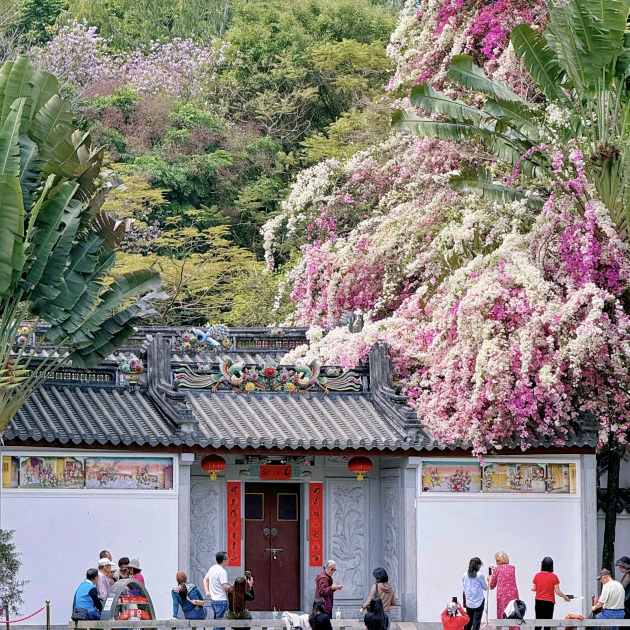 赏花搭子 群聊头像