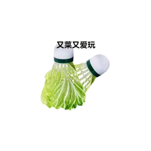 巢湖羽毛球搭子🏸 群聊头像
