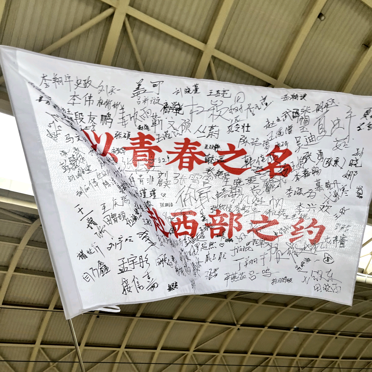 西部计划答疑📩 群聊头像