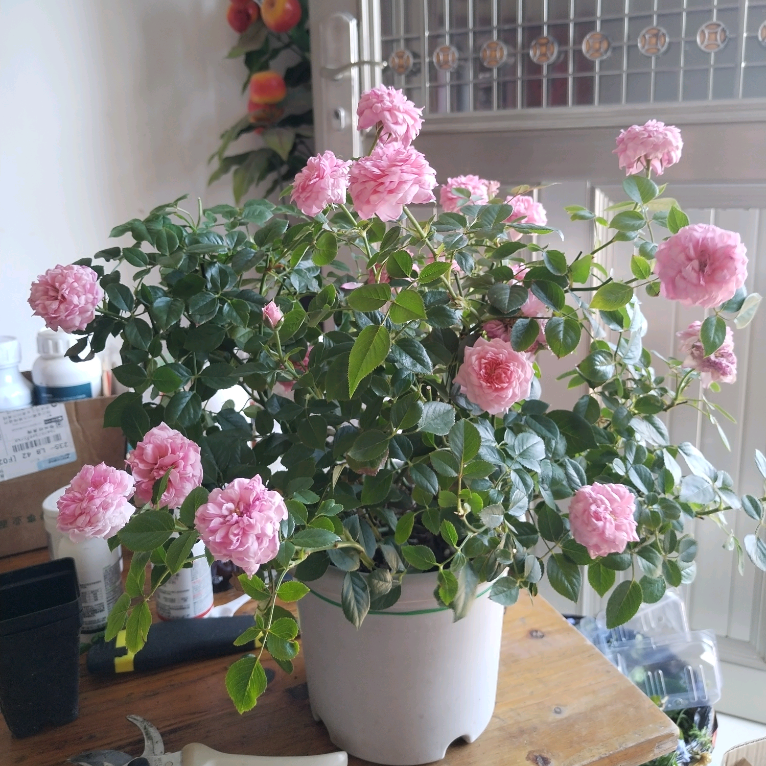 花友4群 群聊头像