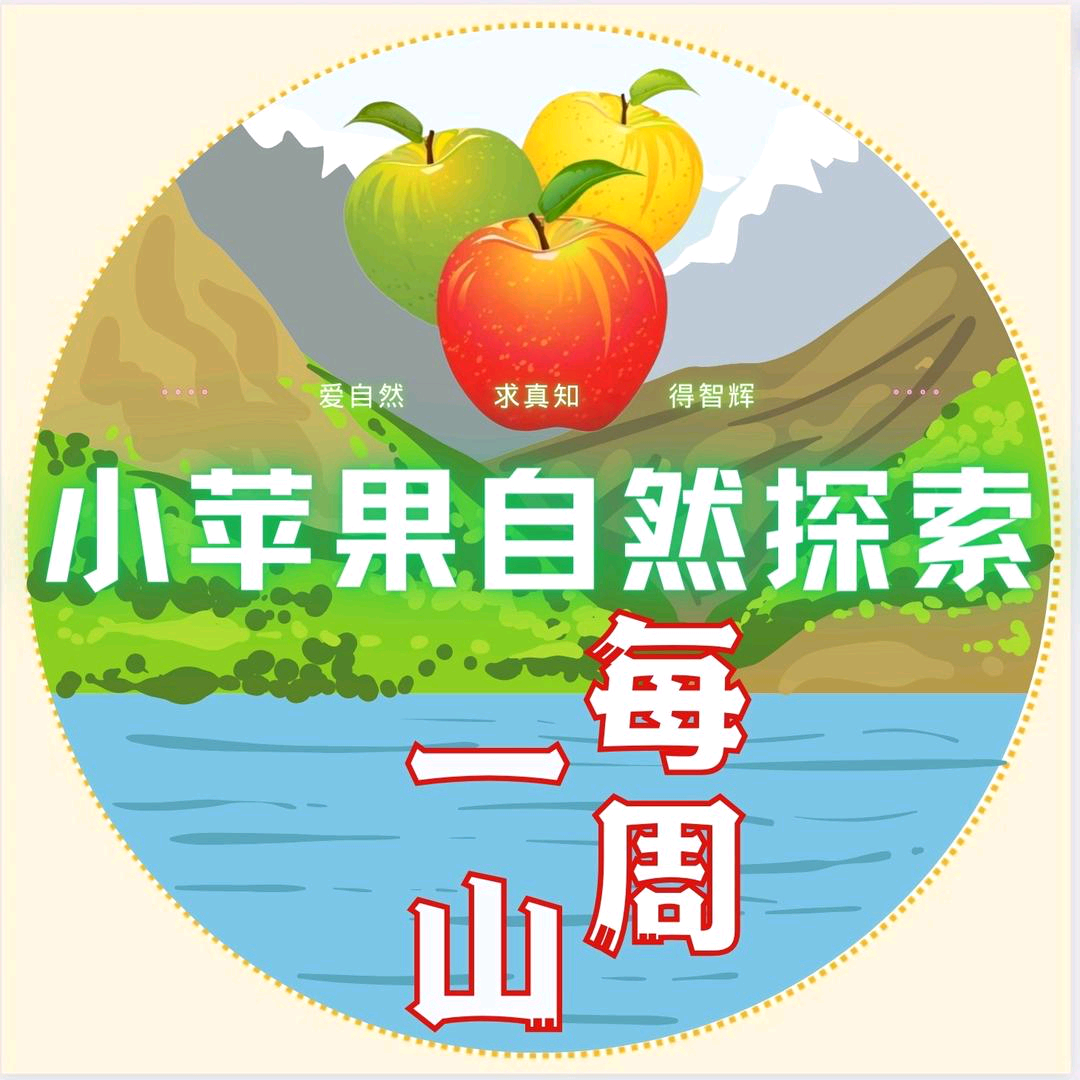 🍎青岛亲子户外总群 群聊头像