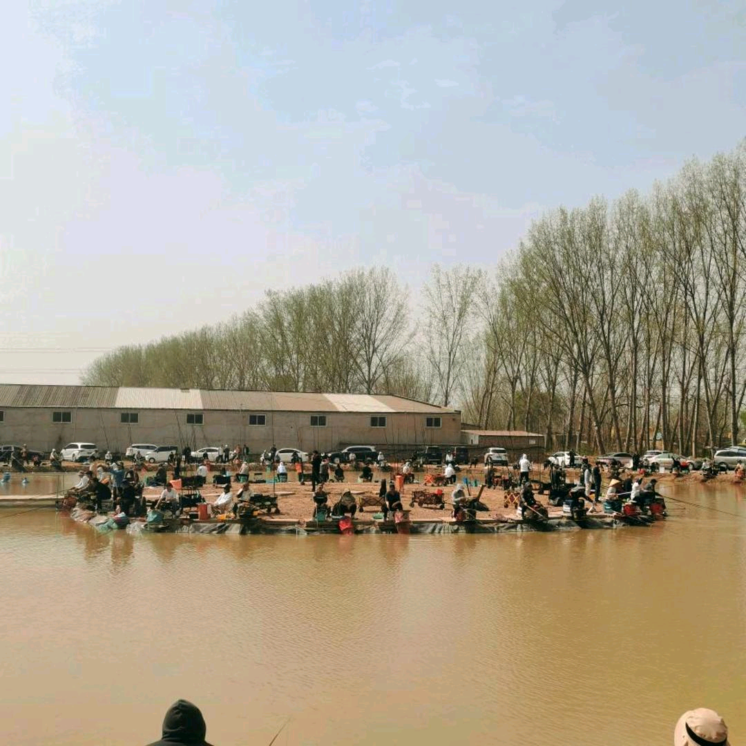马渡钓鱼场 群聊头像