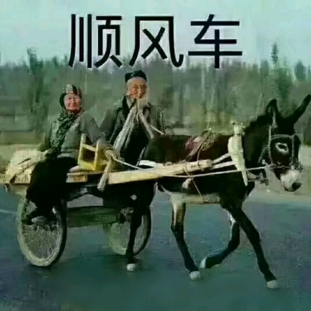 河南豫籍一到浙江沪拼车互助群 群聊头像