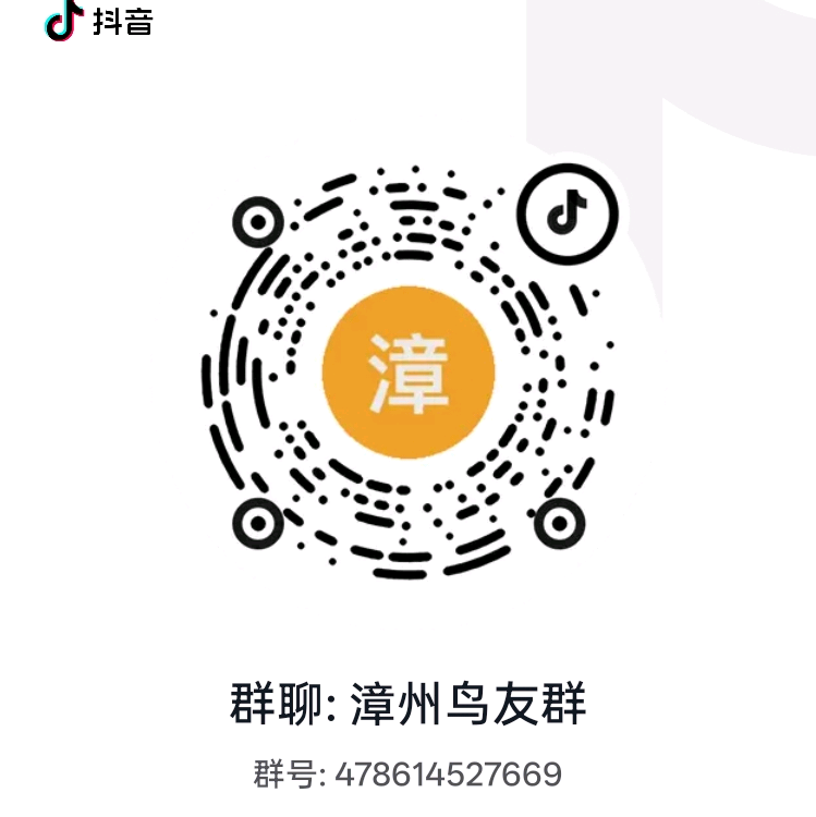 漳州鸟友群 群聊头像