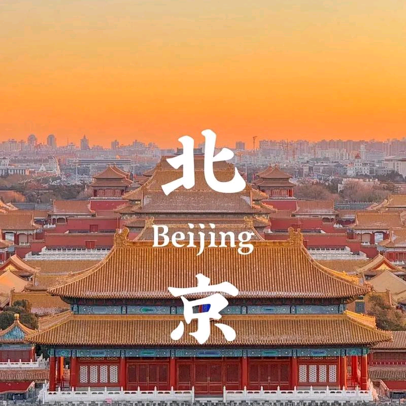 乒乓找搭子（北京） 群聊头像