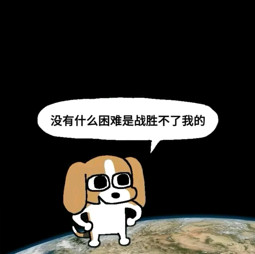 黄猫开大会 群聊头像