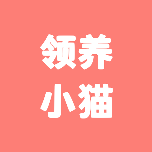 领养小猫阳城周边 群聊头像