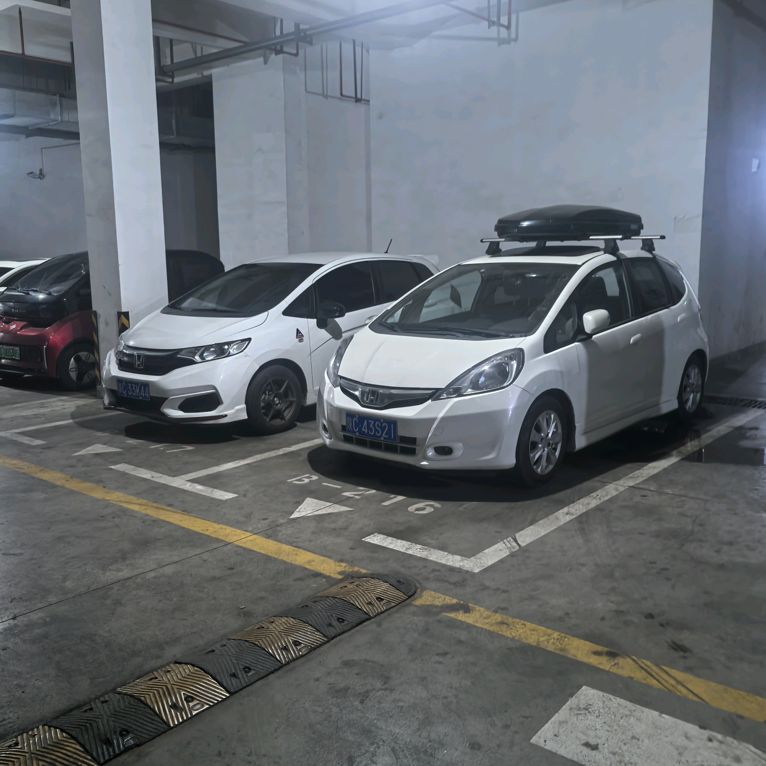 飞度自由交易群 群聊头像
