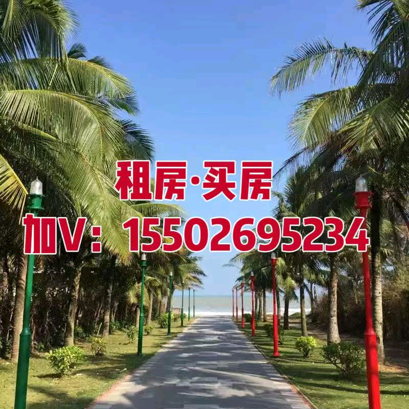 海花岛，飞哥：的群聊 群聊头像