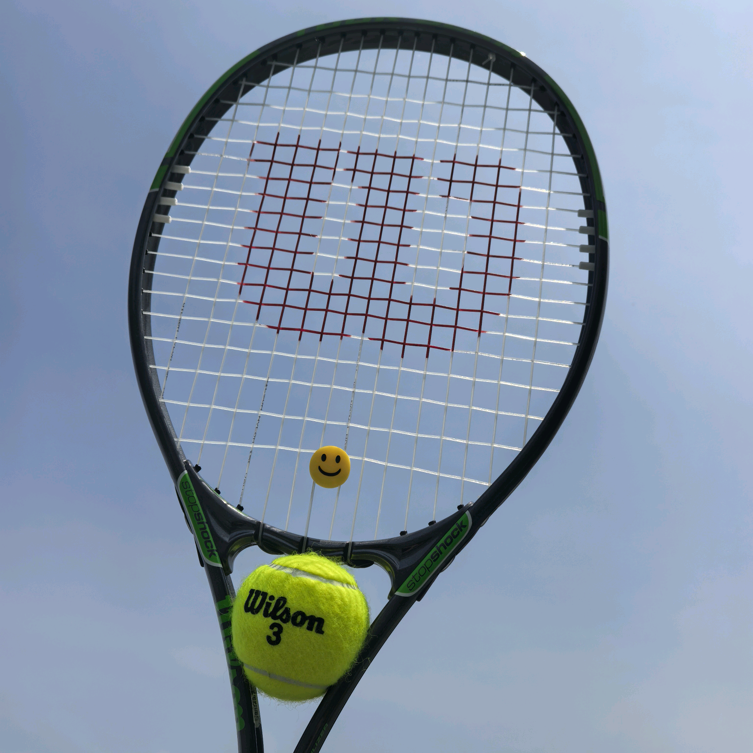 🎾网球进阶交流群 群聊头像