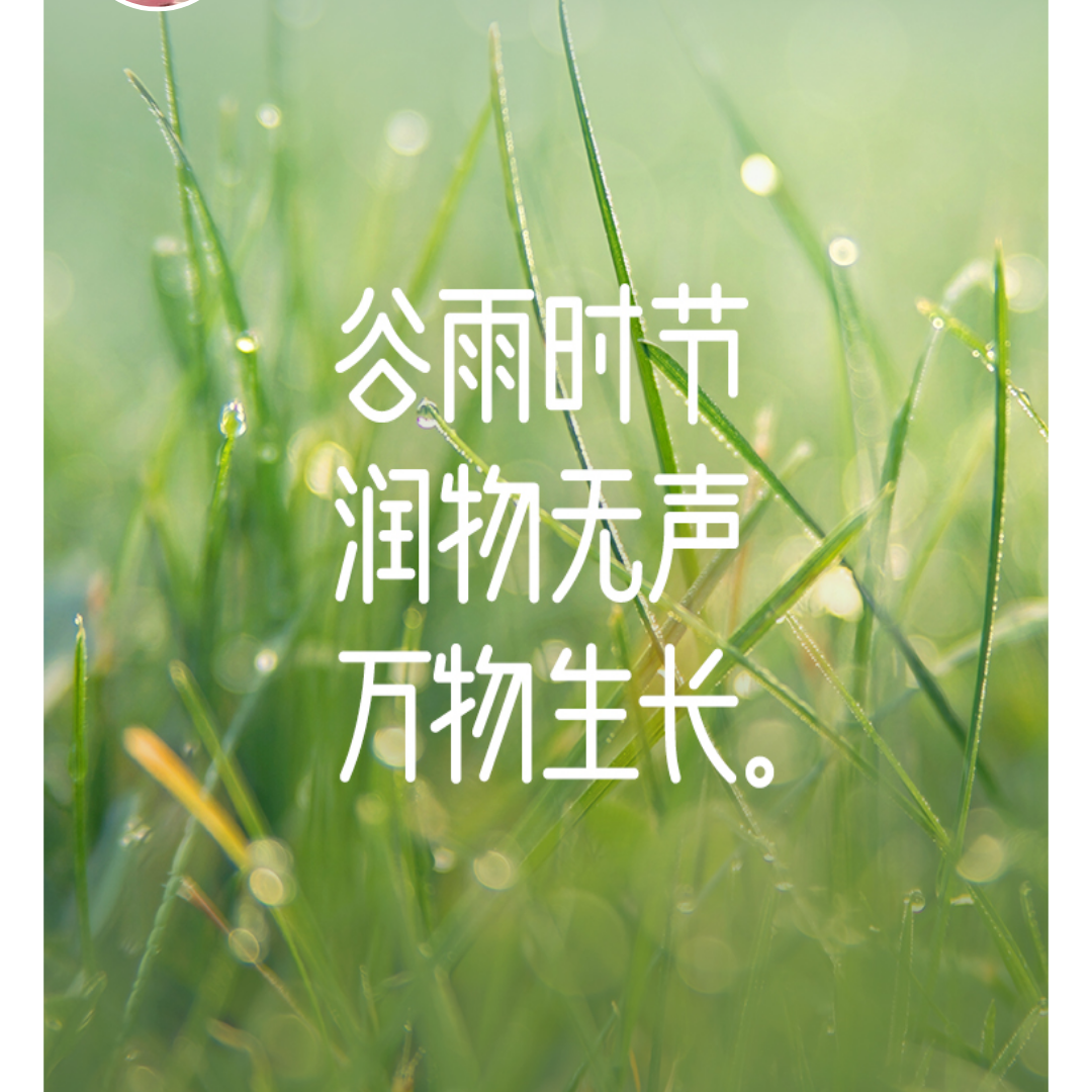湖南老乡集合了 群聊头像