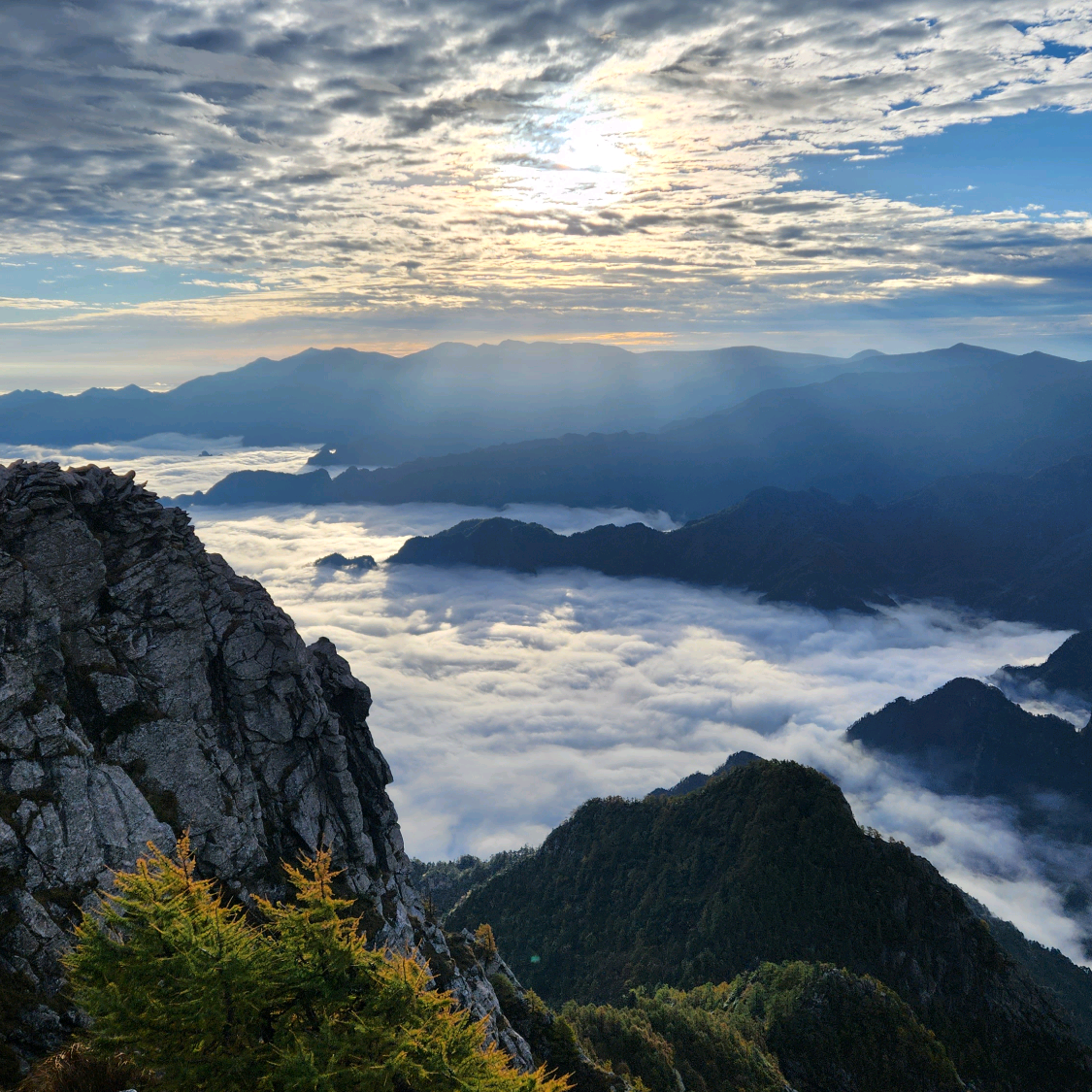 风行者户外 群聊头像