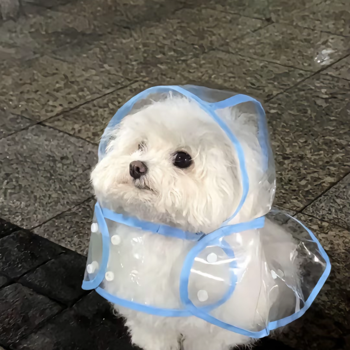 歌神聚集地 群聊头像