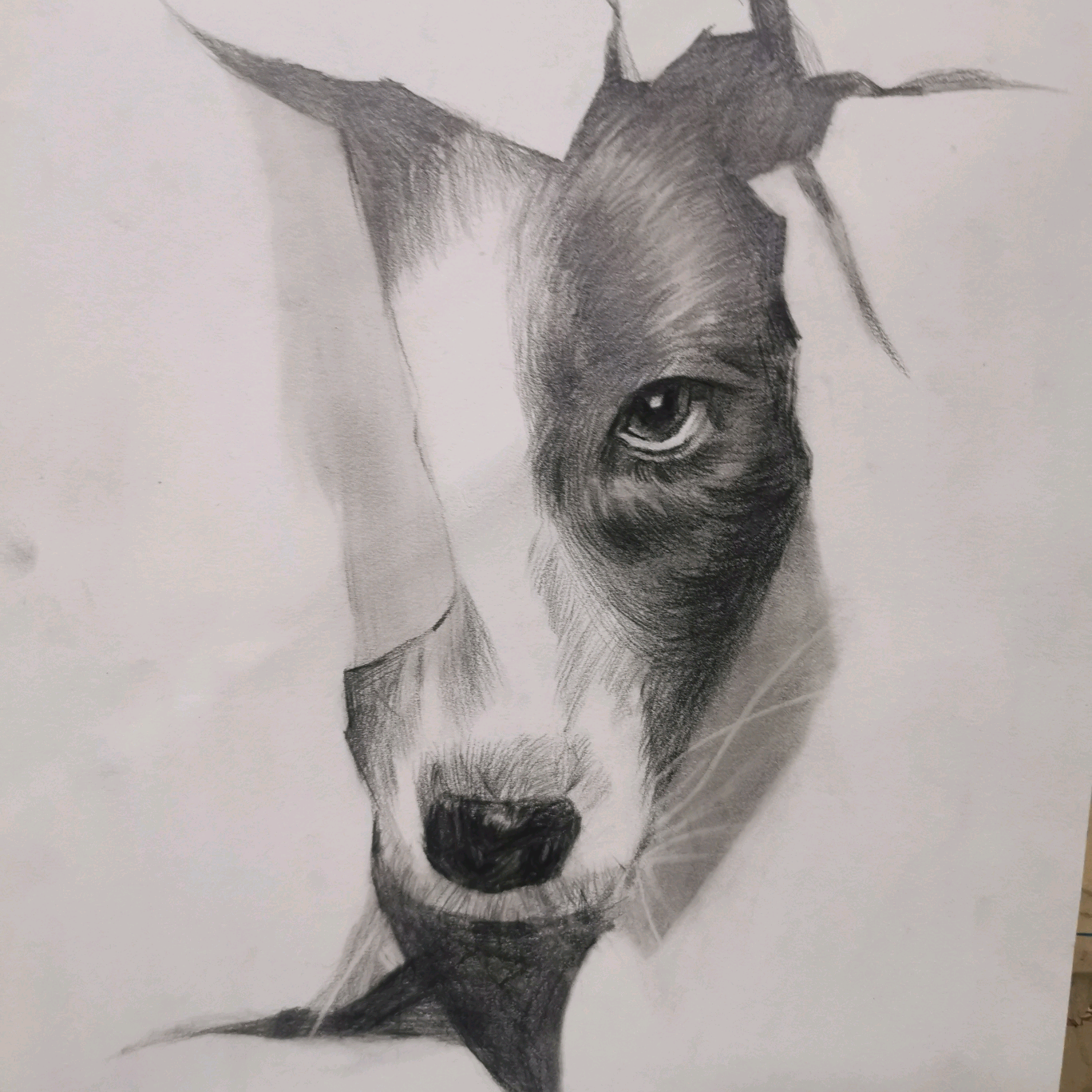 素描群 群聊头像