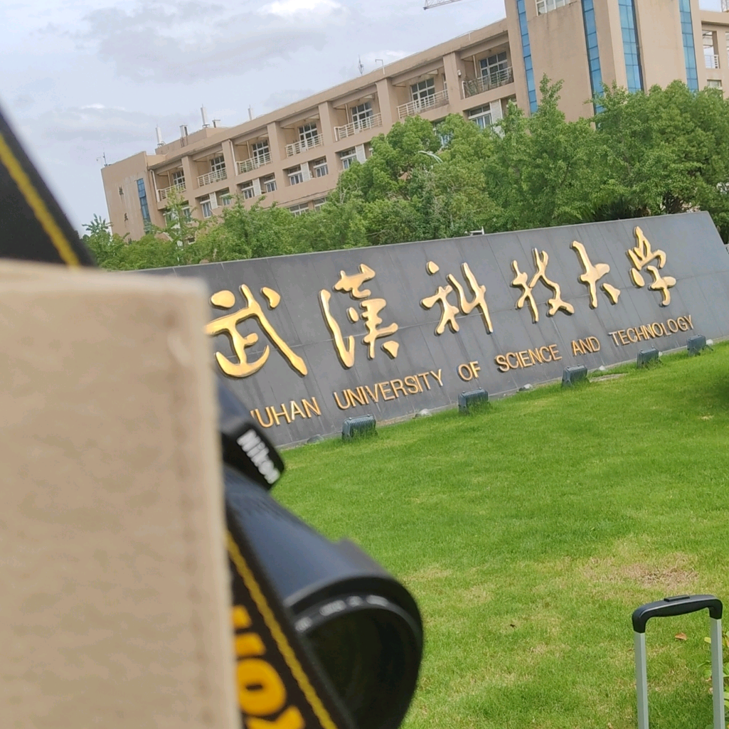 武科大26级新生站 群聊头像