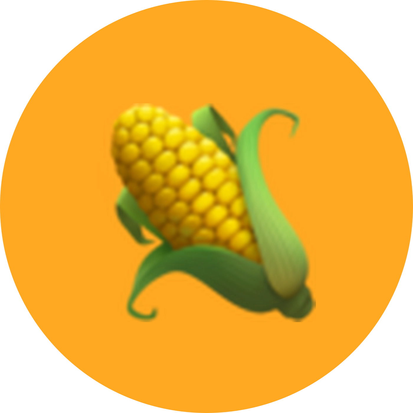 🔒沈阳大本营⛺️🌽🔒 群聊头像