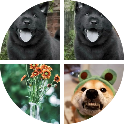 中华田园犬 群聊头像