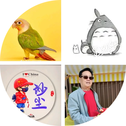鸟叔特技的粉丝4群 群聊头像