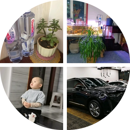 挥戈书店书友群 群聊头像
