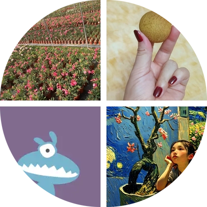 乐欣沙漠玫瑰园 群聊头像