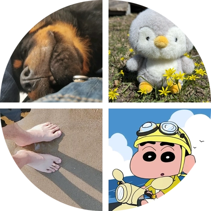 伊宁市🐱🐩领养2群（1群满了） 群聊头像