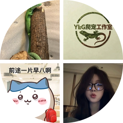 爬宠饲养交流群 群聊头像