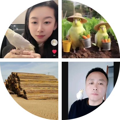 养鸟经验交流群（2） 群聊头像