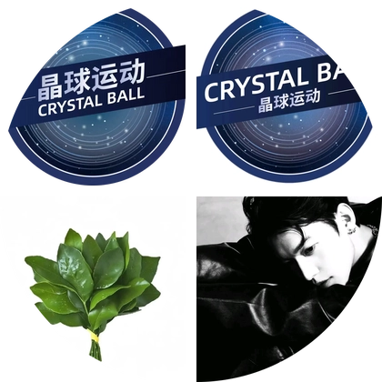 晶球运动观众群 群聊头像