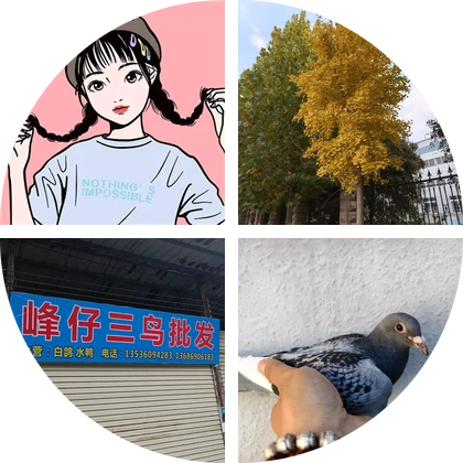小茉莉养鸽群 群聊头像