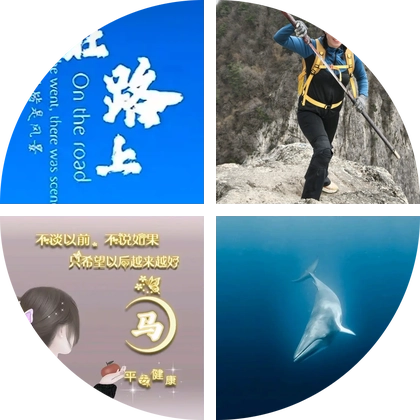 秦岭客：并肩看山 群聊头像