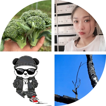 种植聊天群1 群聊头像