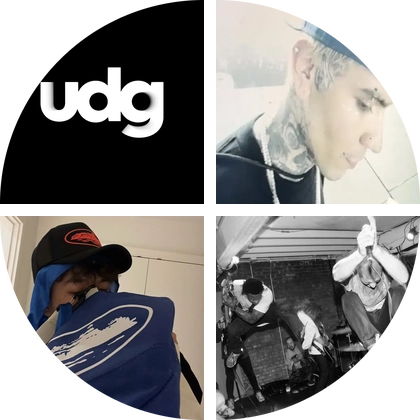 ⚜️ UDG® 巡演⁺ Westwood 群聊头像