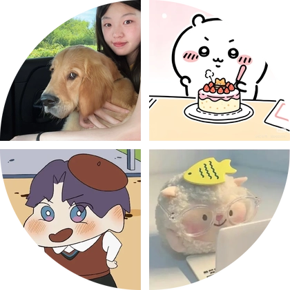 武汉小橘子救助群 群聊头像