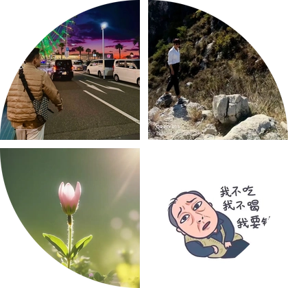 每周组织越野露营3 群聊头像