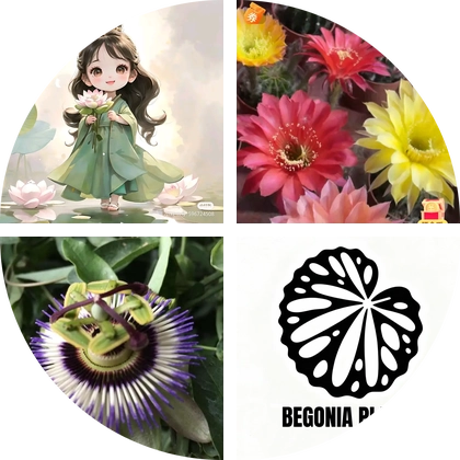 石家庄花友群 群聊头像