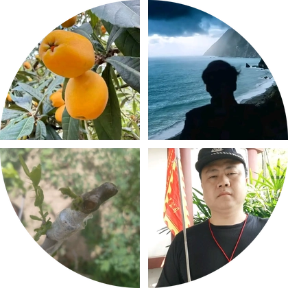 柿子树品种交流群（666） 群聊头像