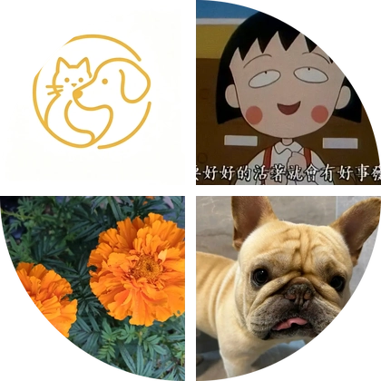 手术群 群聊头像