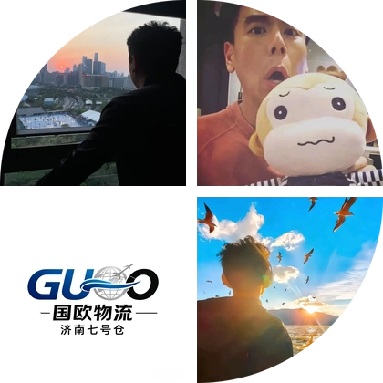 老樊ozon交流群 群聊头像
