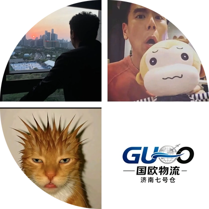 老樊ozon交流群 群聊头像
