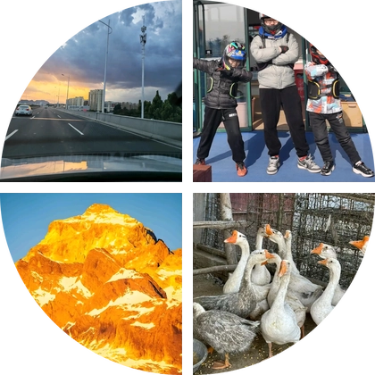 石家庄摩友 群聊头像