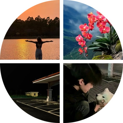 深圳福田滑板群 群聊头像