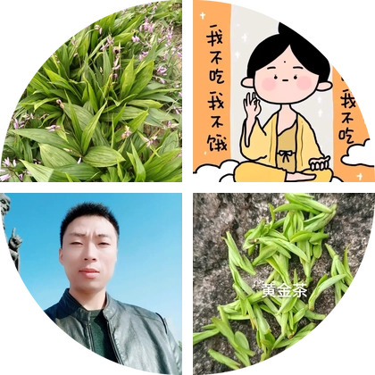 白及种植技术交流群 群聊头像