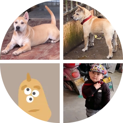 中华田园犬 群聊头像