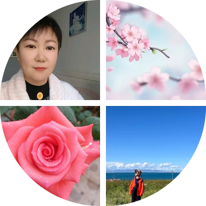 网课自学2群 群聊头像