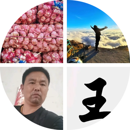 大蒜交流群 群聊头像