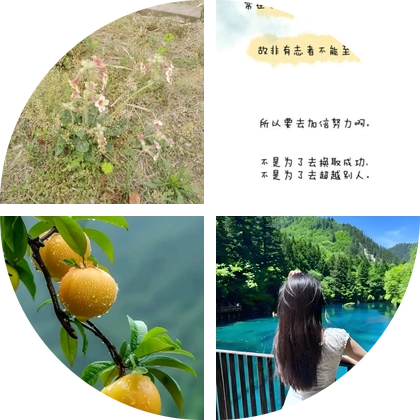 中医学习群 群聊头像