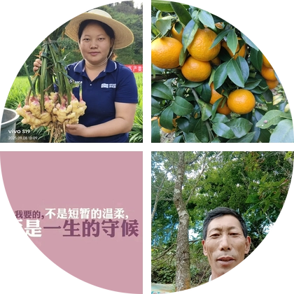 王指导生姜技术交流群 群聊头像