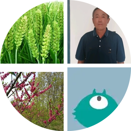 农业交流群 群聊头像