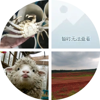 虾蟹交流 群聊头像