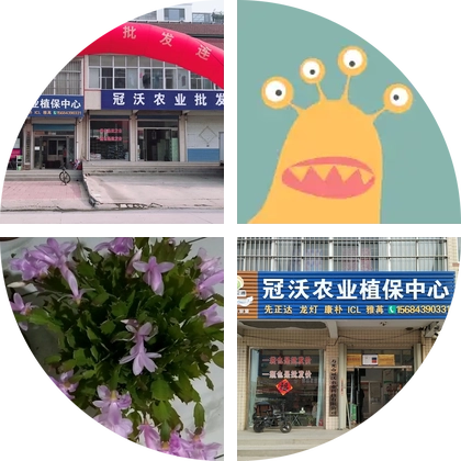 冠沃黄瓜种植技术交流群 群聊头像
